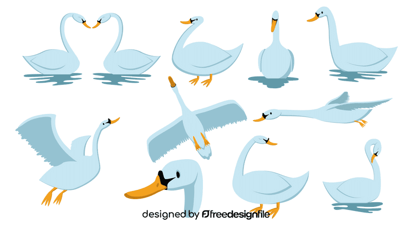 Swan bird vector