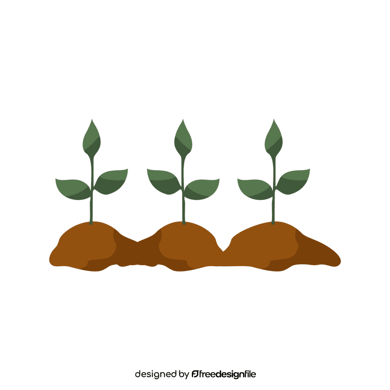 Plant clipart
