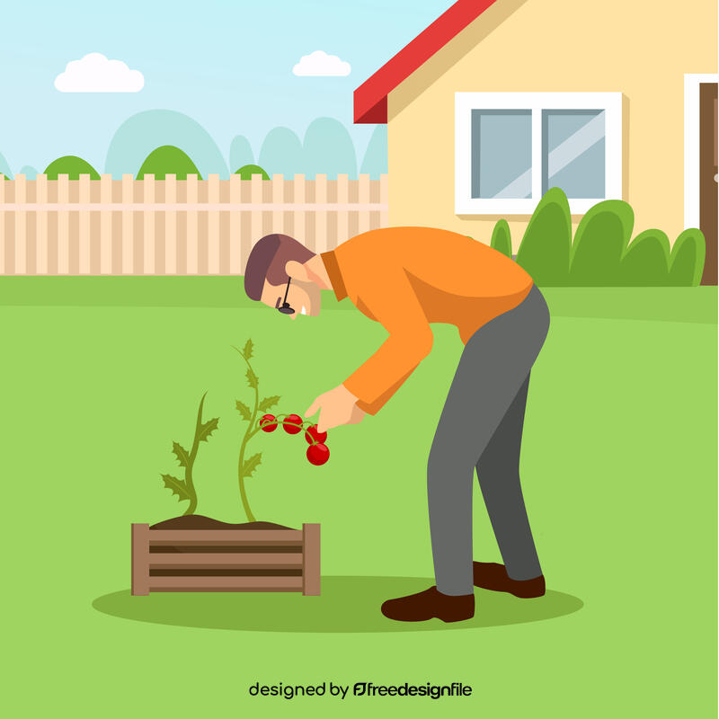 Happy man planting tomato vector