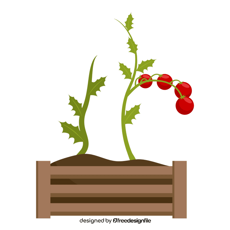 Tomato plant clipart