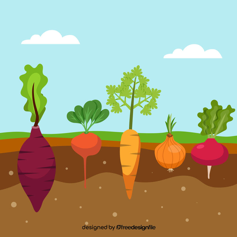 Planting different vegetables vector