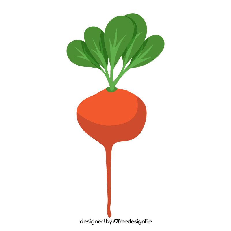 Beet clipart
