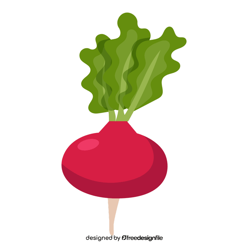 Radish clipart