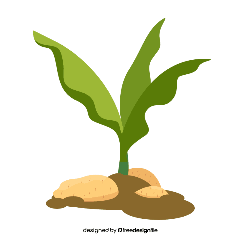 Plant clipart