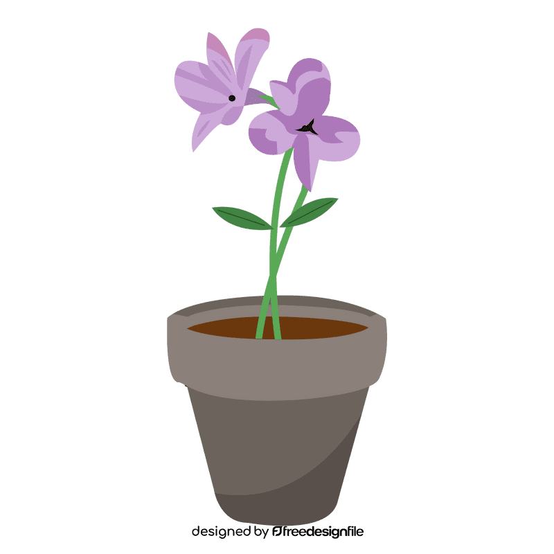 Lavender flower clipart