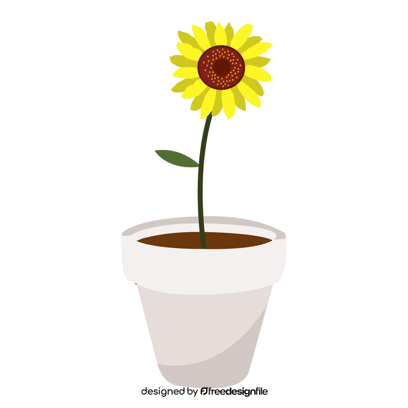Sunflower clipart