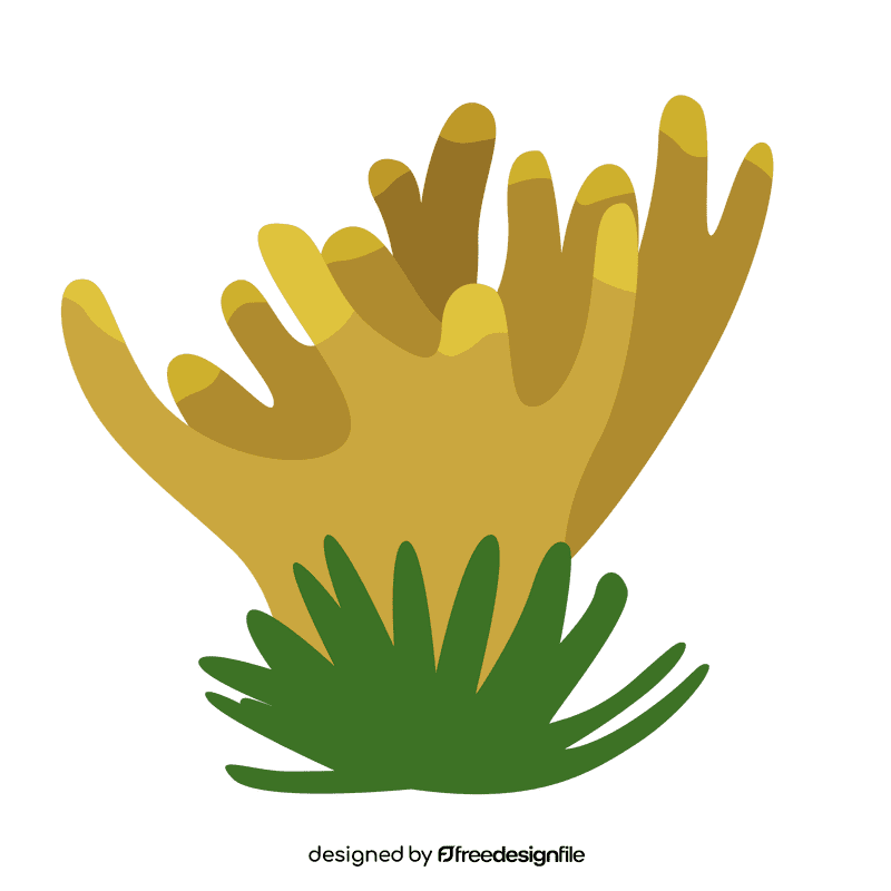 Sea plant clipart