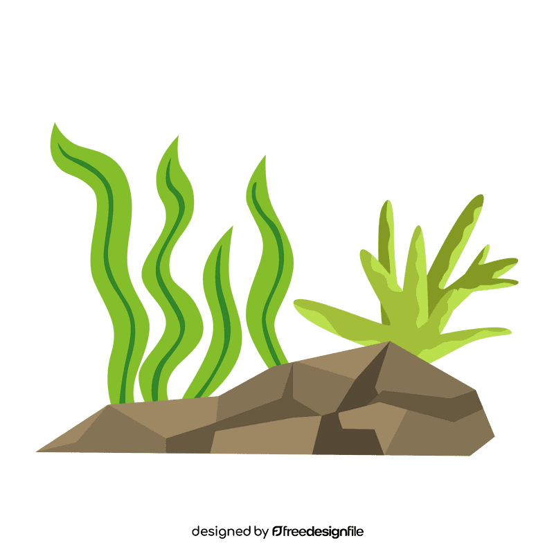 Sea plant under the rock clipart