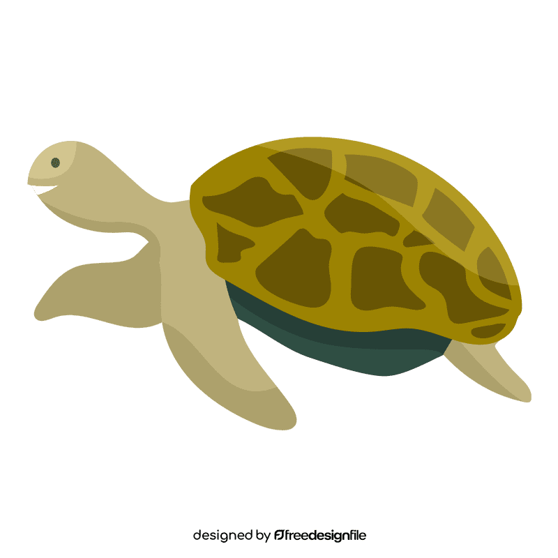 Sea turtle clipart