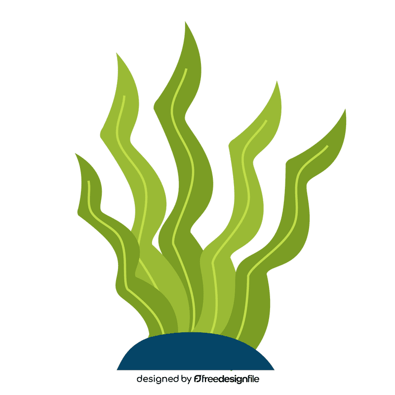 Seaweed clipart