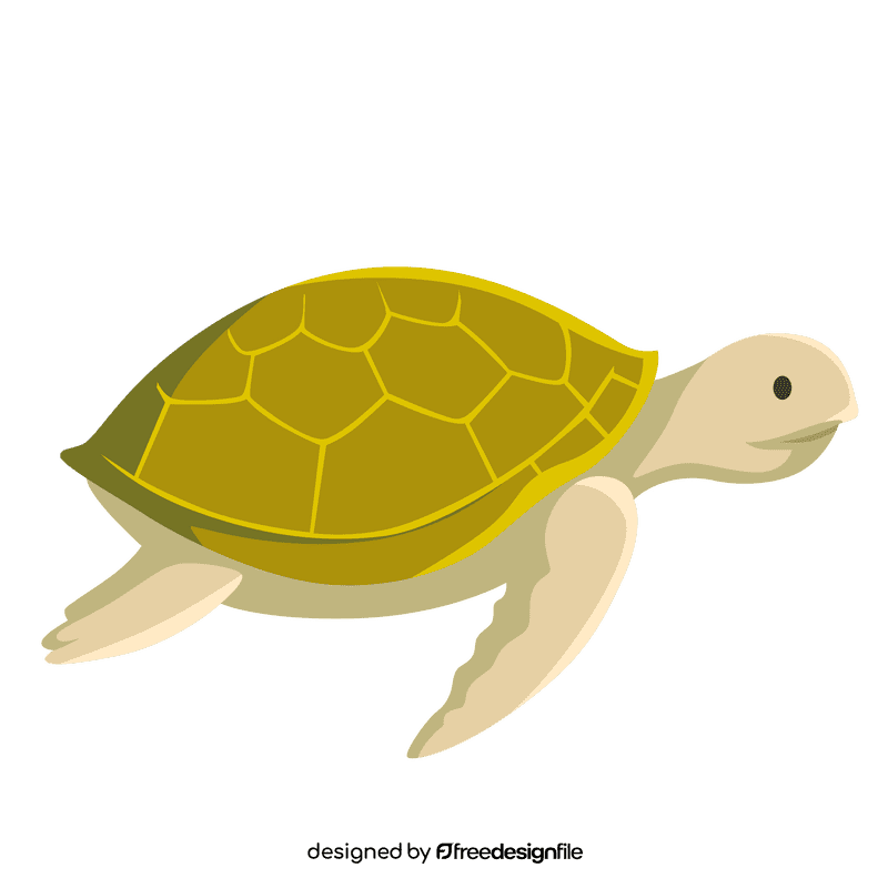 Sea turtle clipart