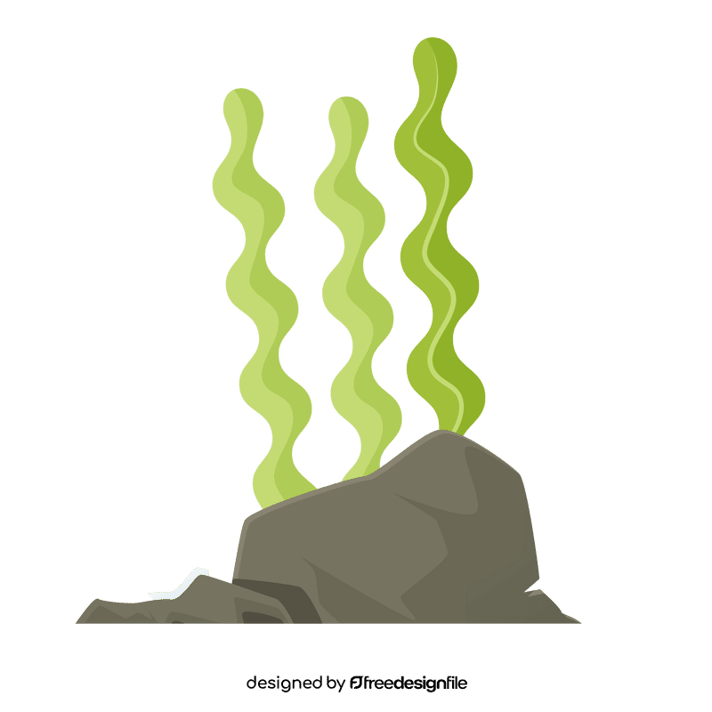 Sea plant on the rock clipart