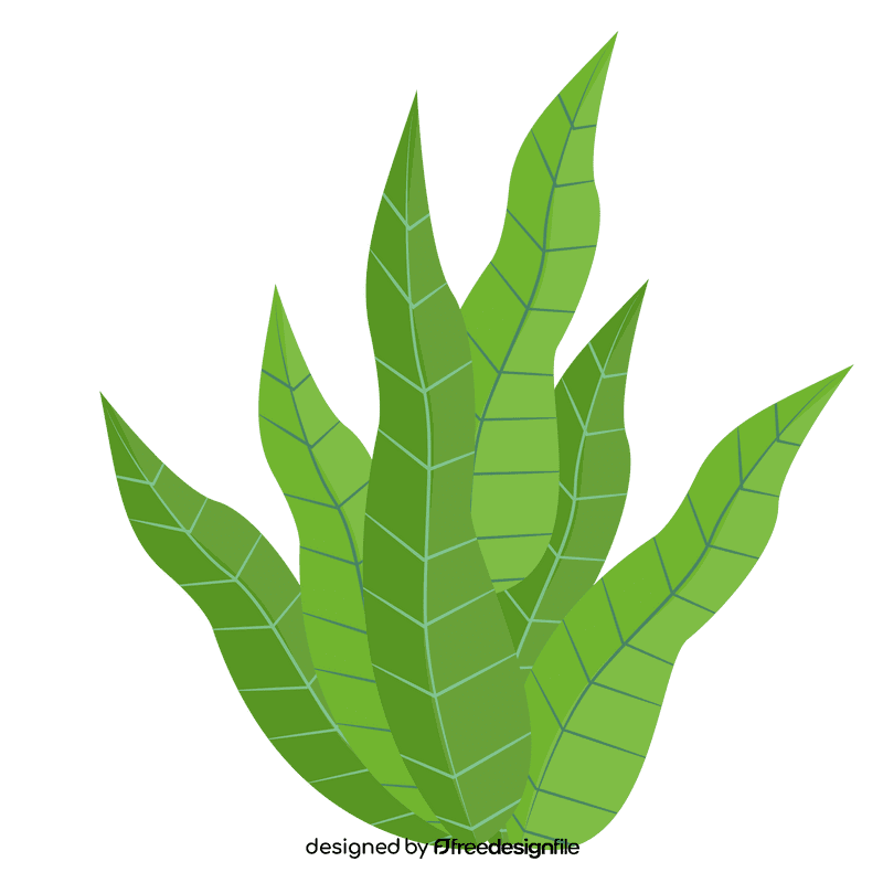 Sea plant clipart