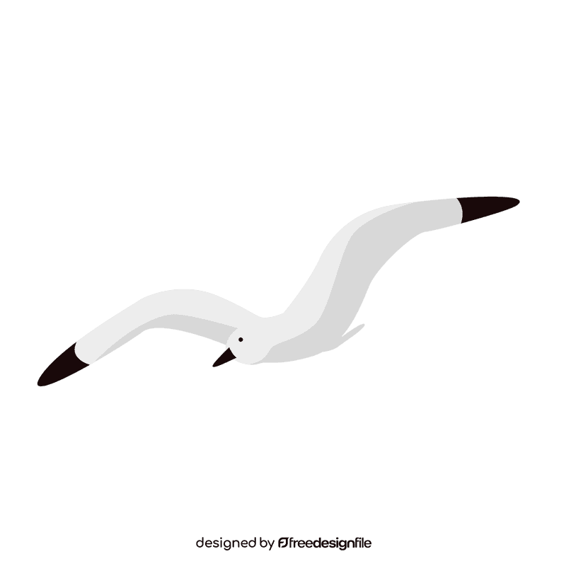 Seagull clipart