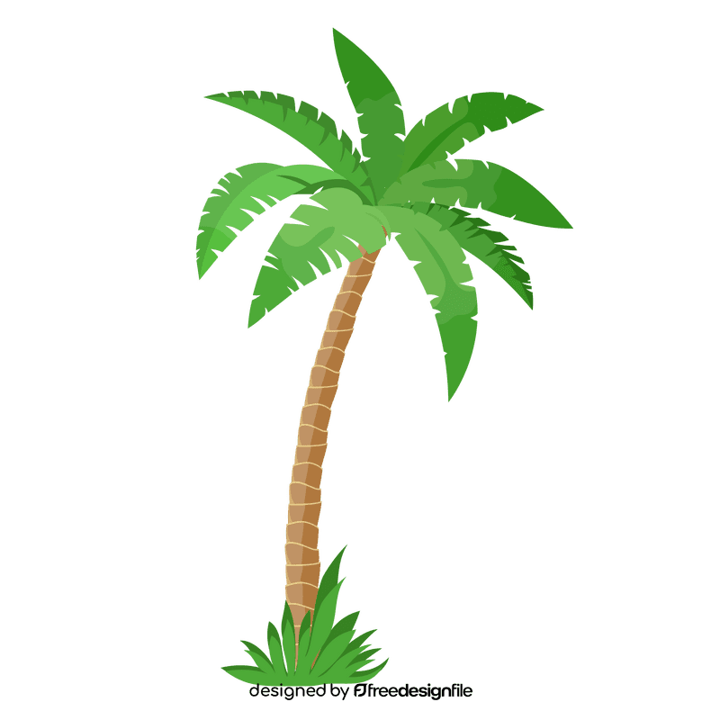 Palm tree clipart