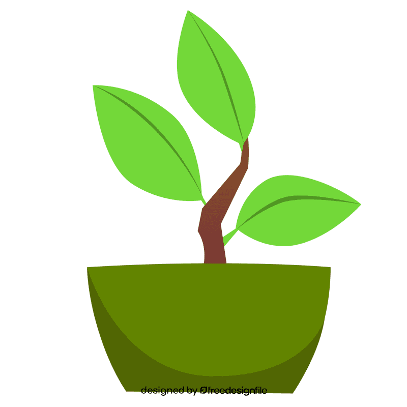 Plant on pot clipart