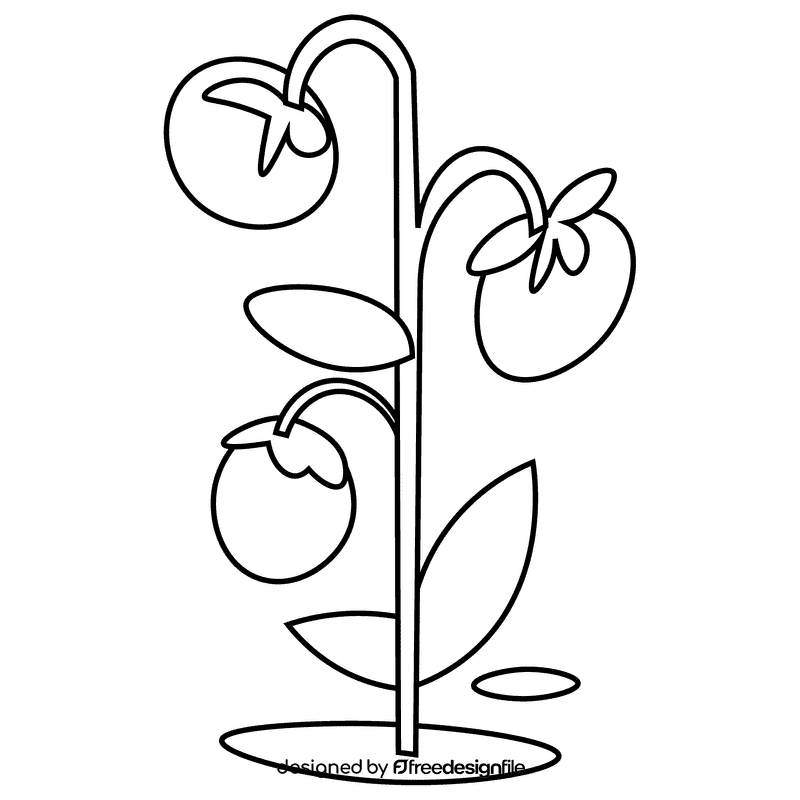 Farmer tomato black and white clipart