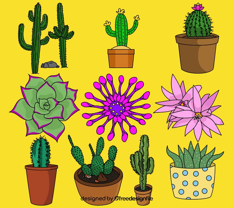 Cactus flower set vector