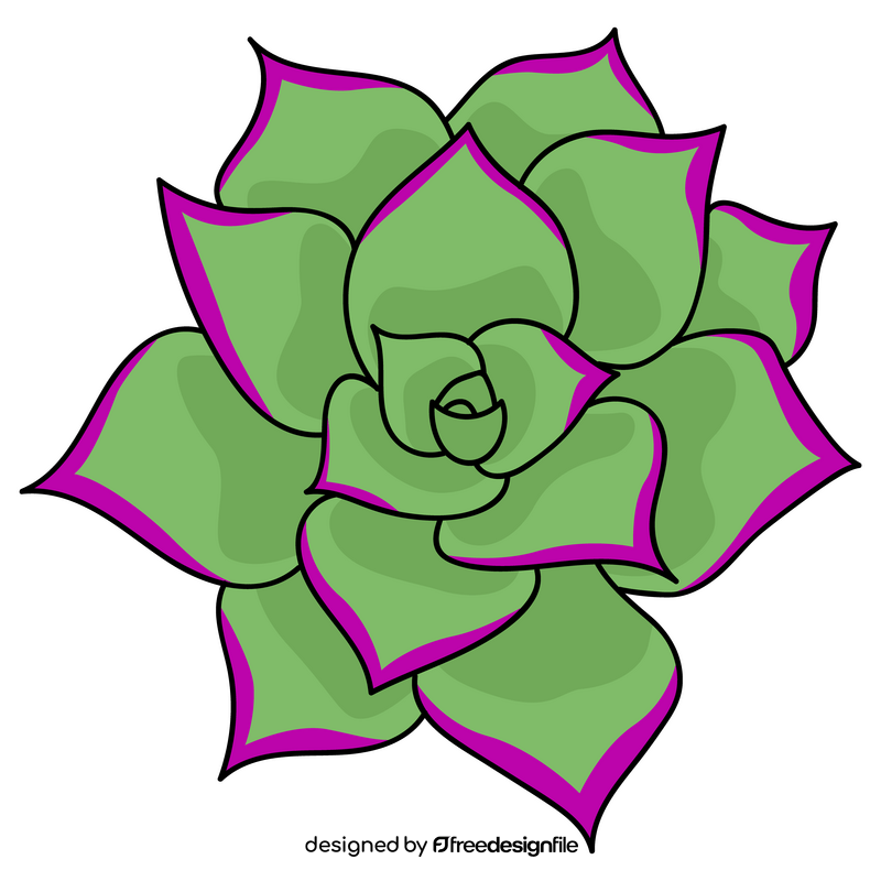 Succulent flower clipart