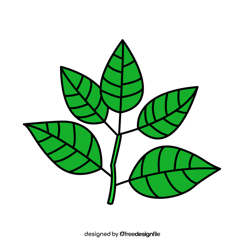 Cherry leaves clipart