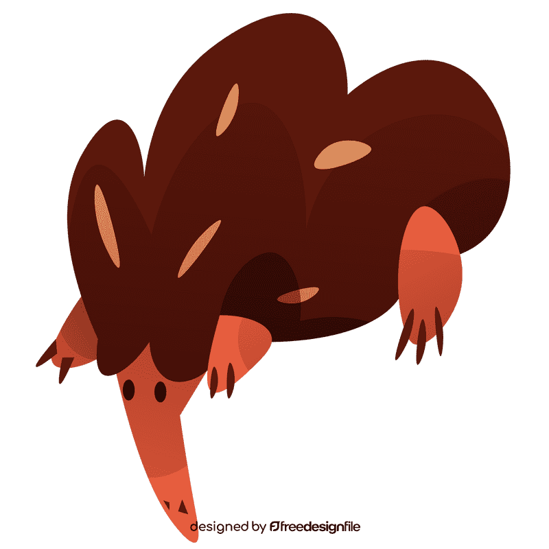 Australian echidna clipart