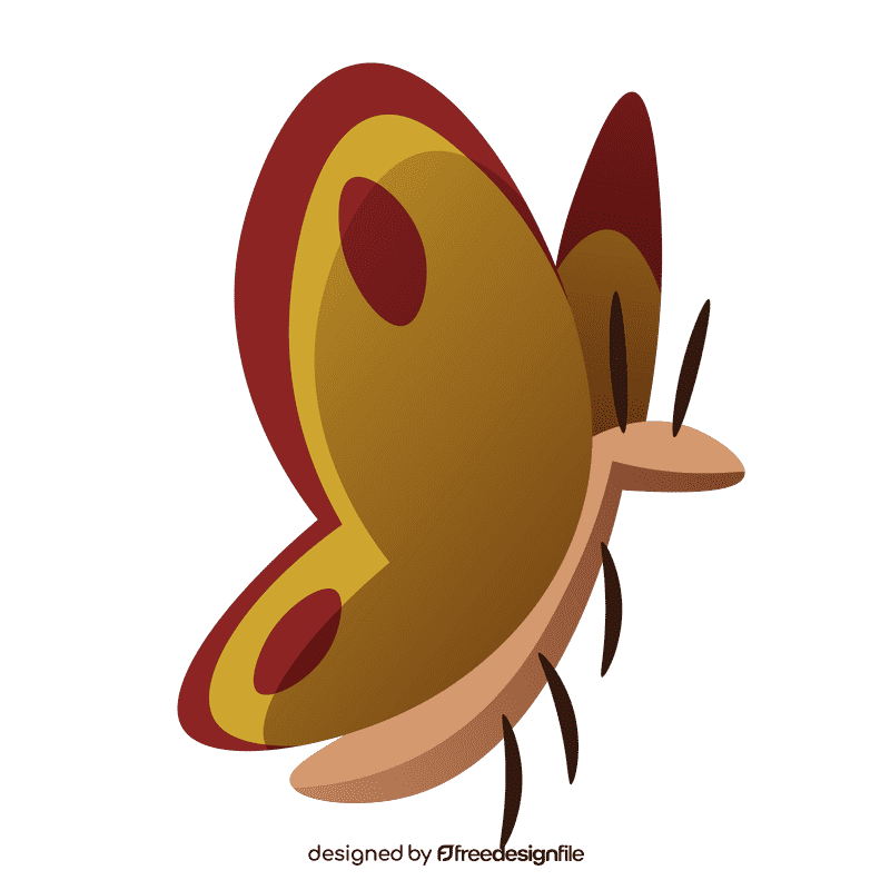 Jungle butterfly clipart