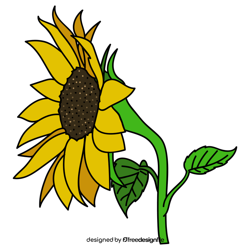 Sunflower blooms to the left drawing clipart