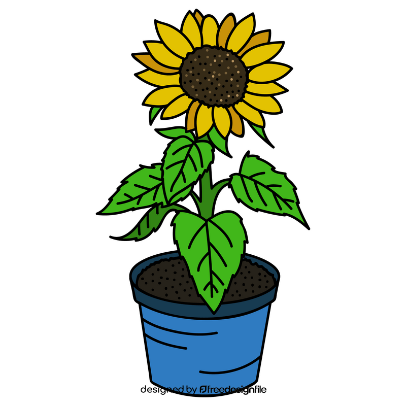 Sunflower in a pot drawing clipart