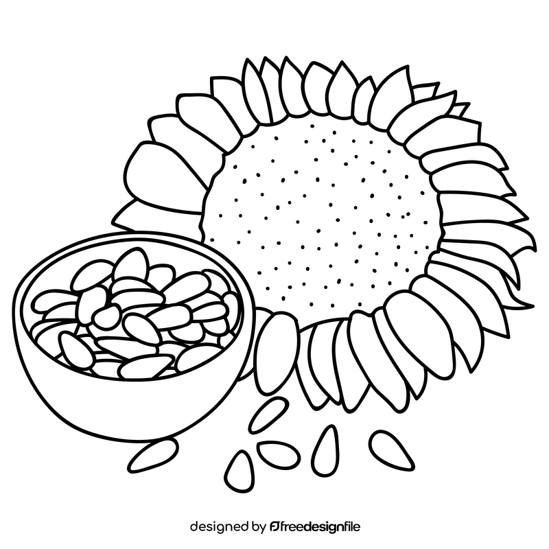 Sunflower seeds drawing black and white clipart