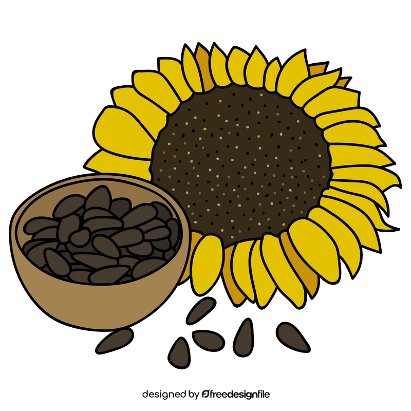 Sunflower seeds drawing clipart