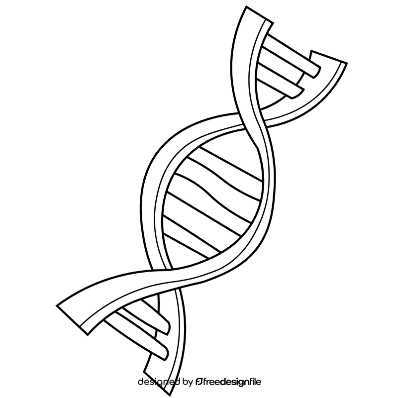 Dna chain black and white clipart
