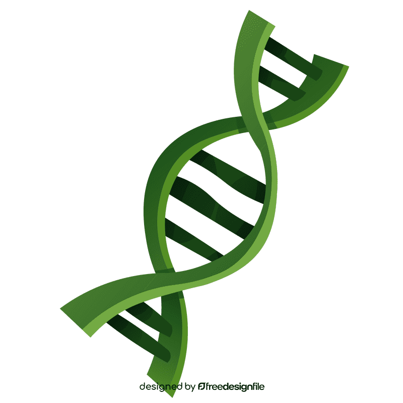 Dna chain clipart