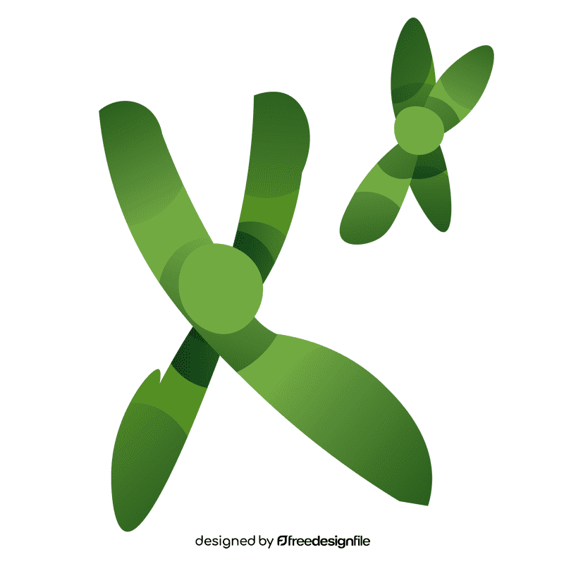 Dna chromosoma clipart