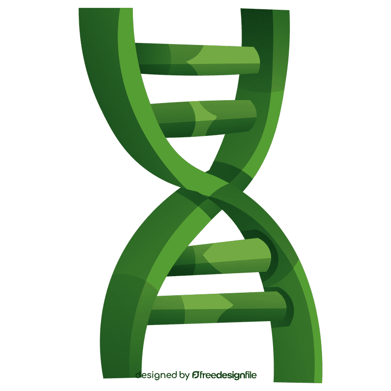 Dna clipart