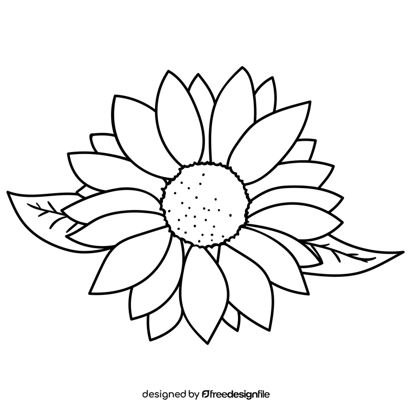 Sunflower drawing black and white clipart