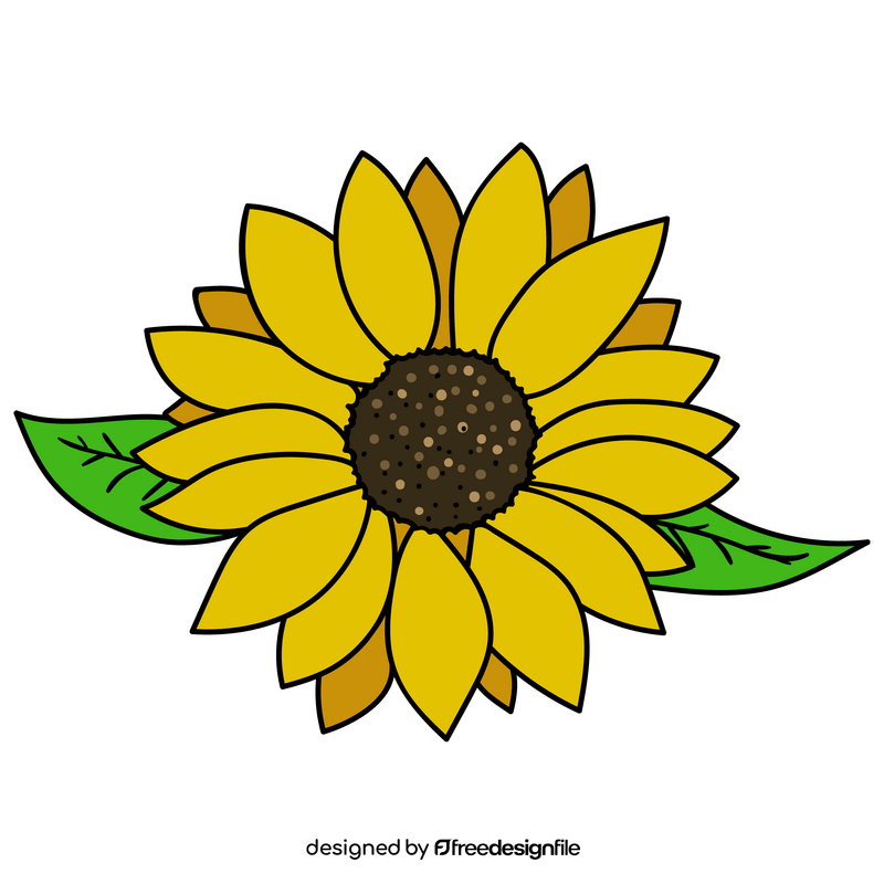 Sunflower drawing clipart