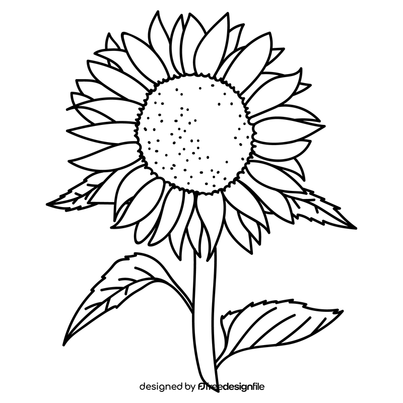 Sunflowers in full bloom drawing black and white clipart