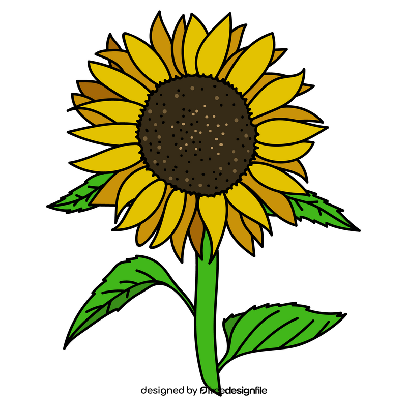 Sunflowers in full bloom drawing clipart