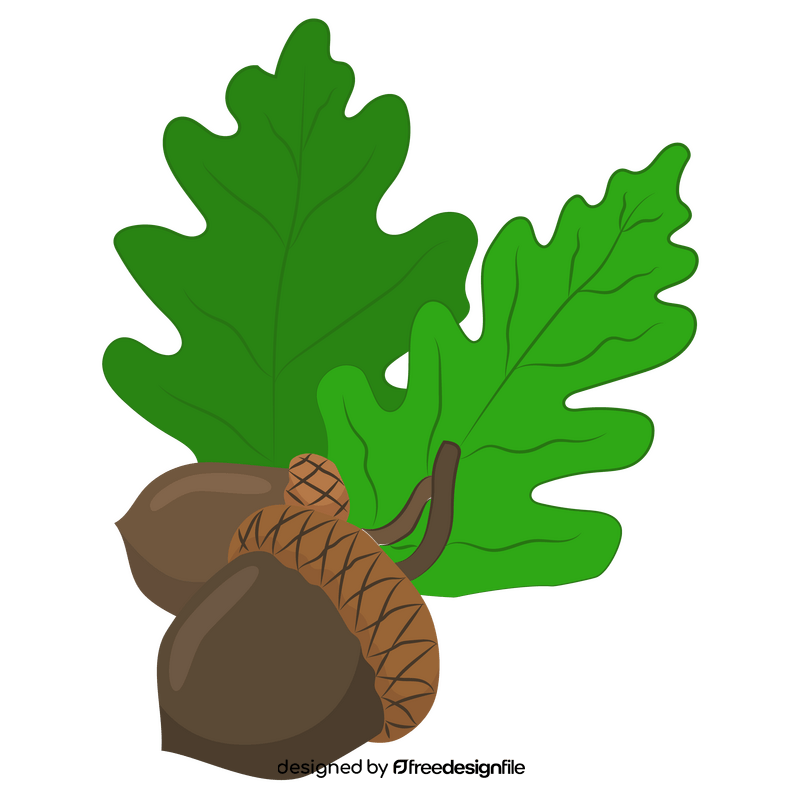 Acorn and leaf clipart