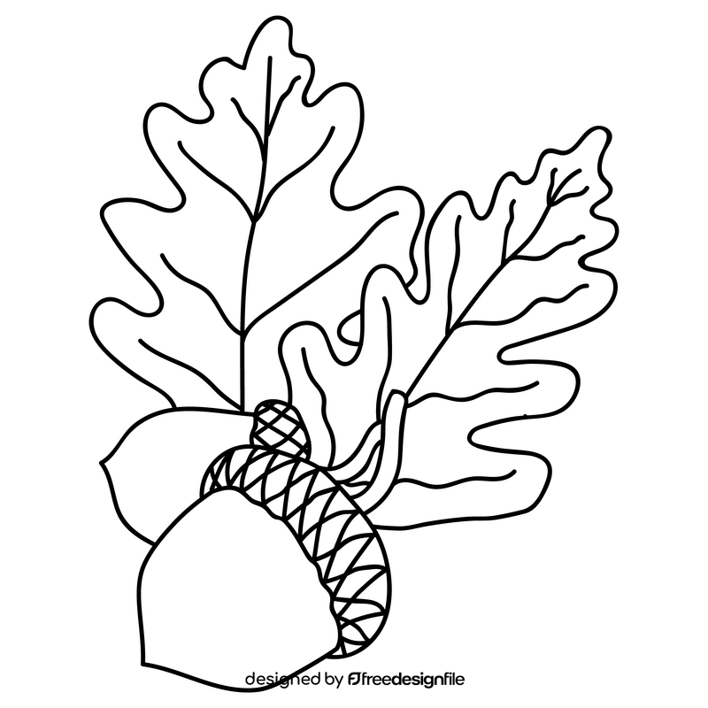 Acorn and leaf drawing black and white clipart
