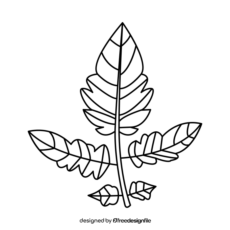 Tomato leaf black and white clipart