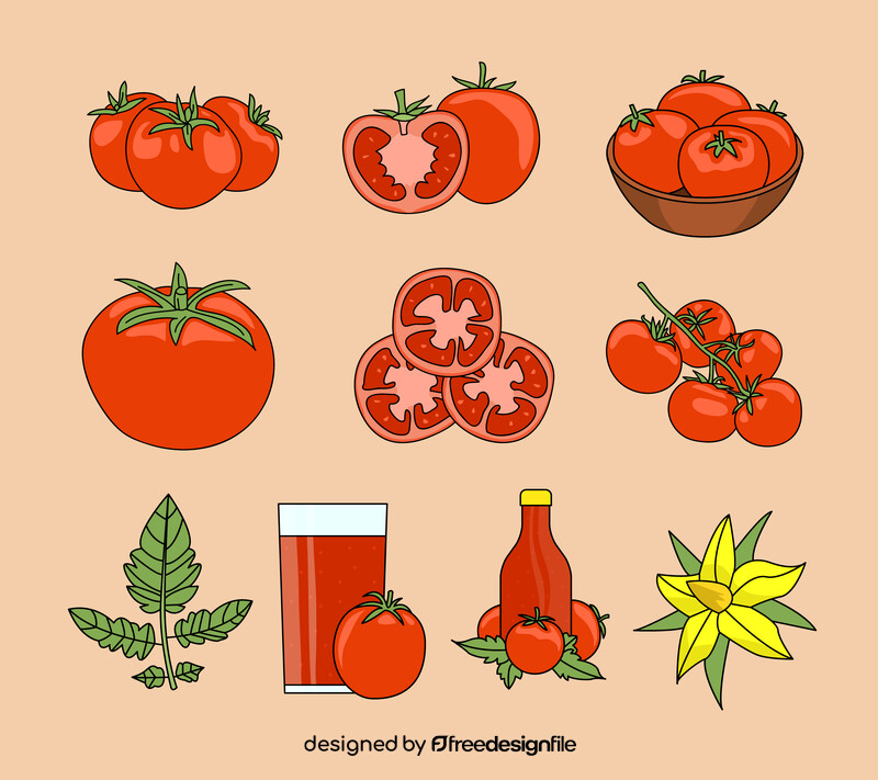 Tomato vegetable set vector