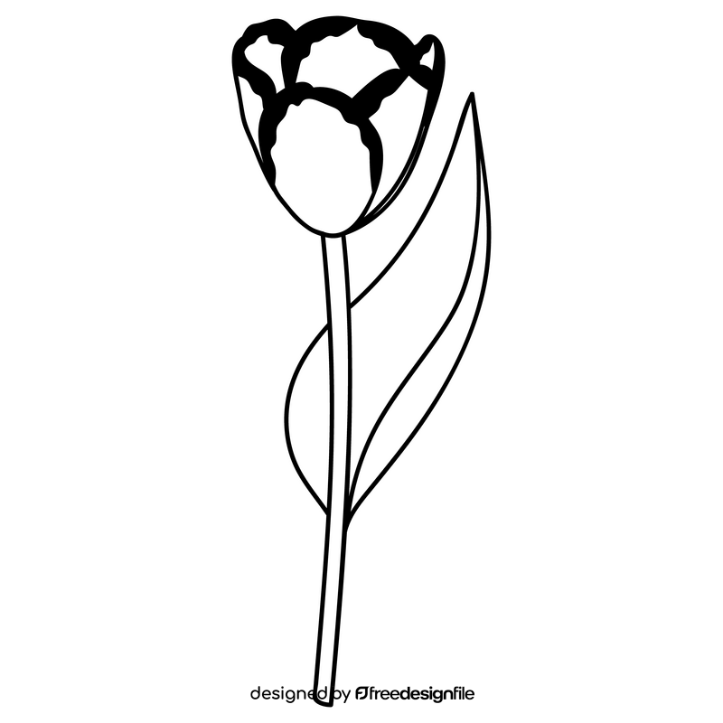 Affaire Triumph Tulip black and white clipart