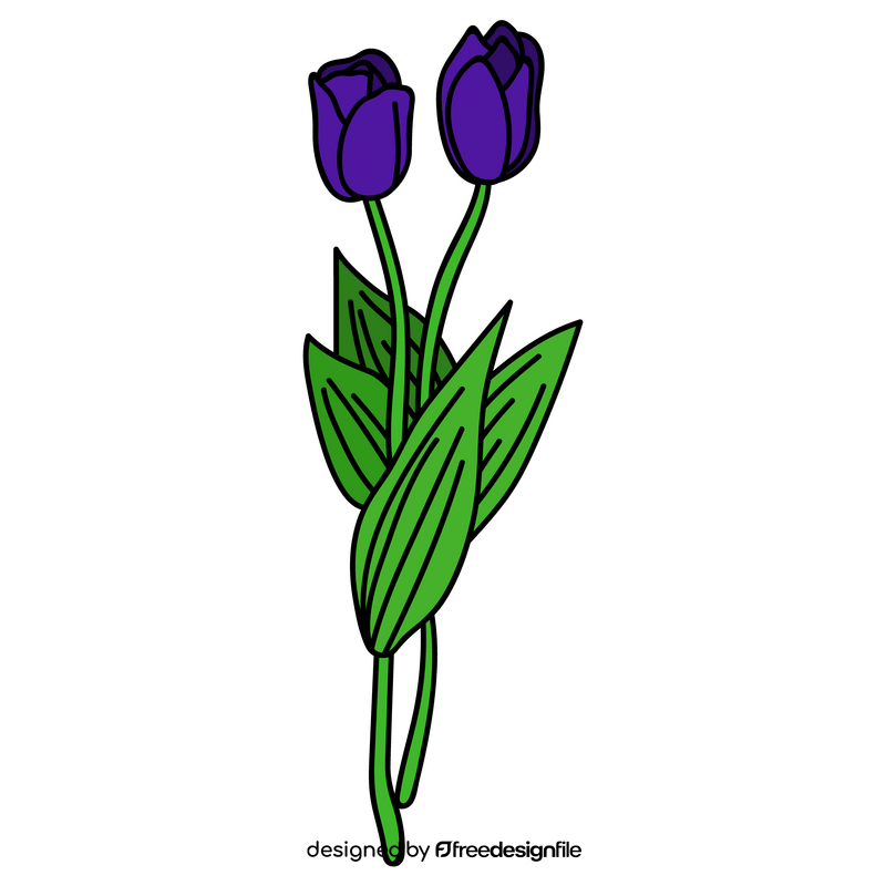 Tulip purple clipart