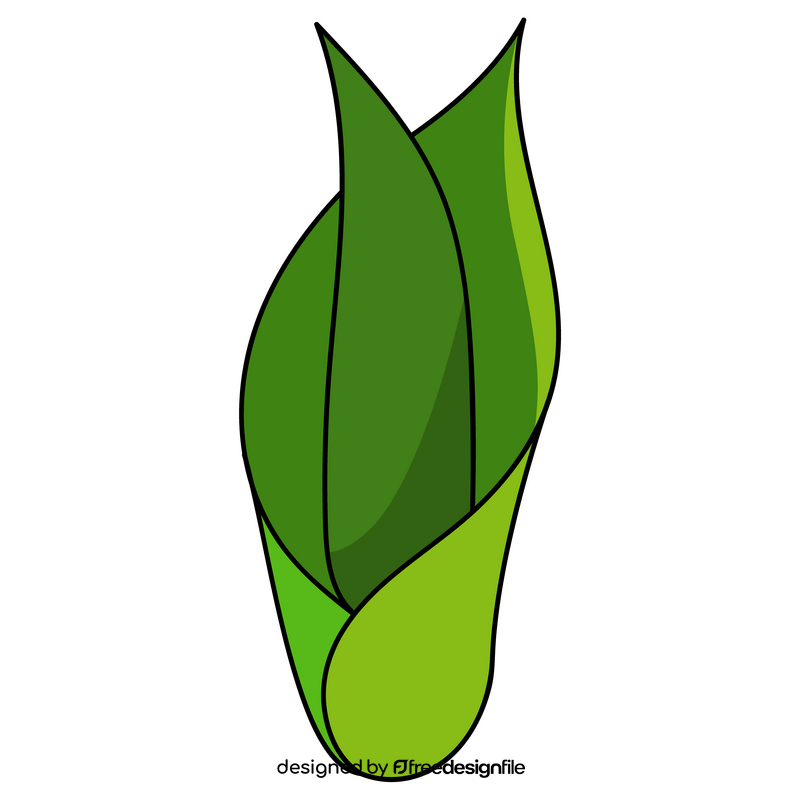 Tulip plant clipart