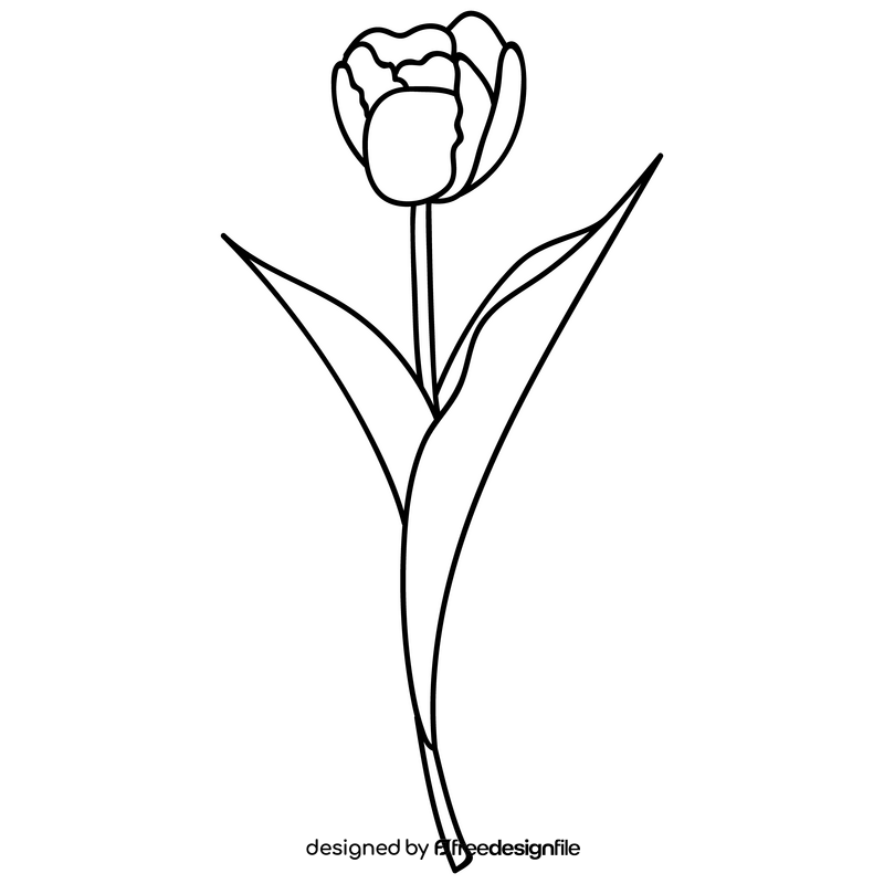 Yellow tulip flower black and white clipart
