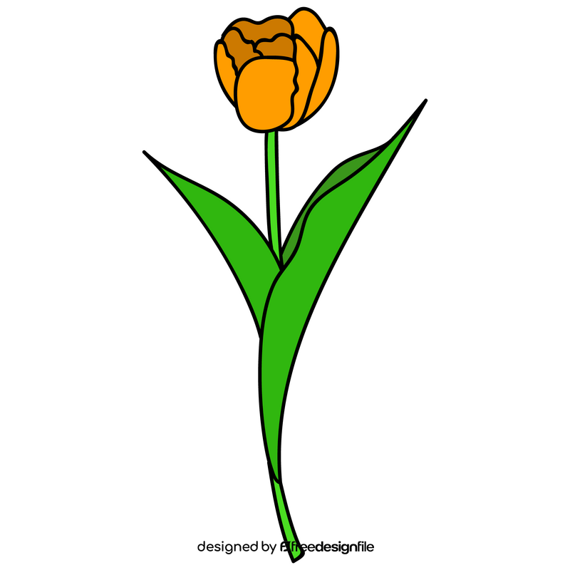 Yellow tulip flower clipart