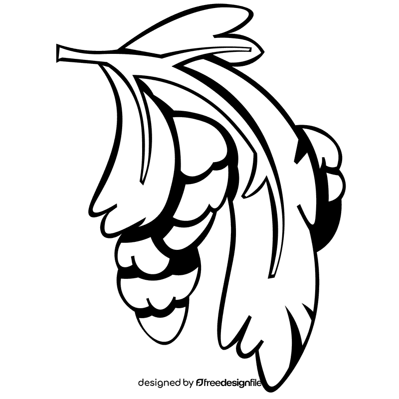 Evergreen branch black and white clipart