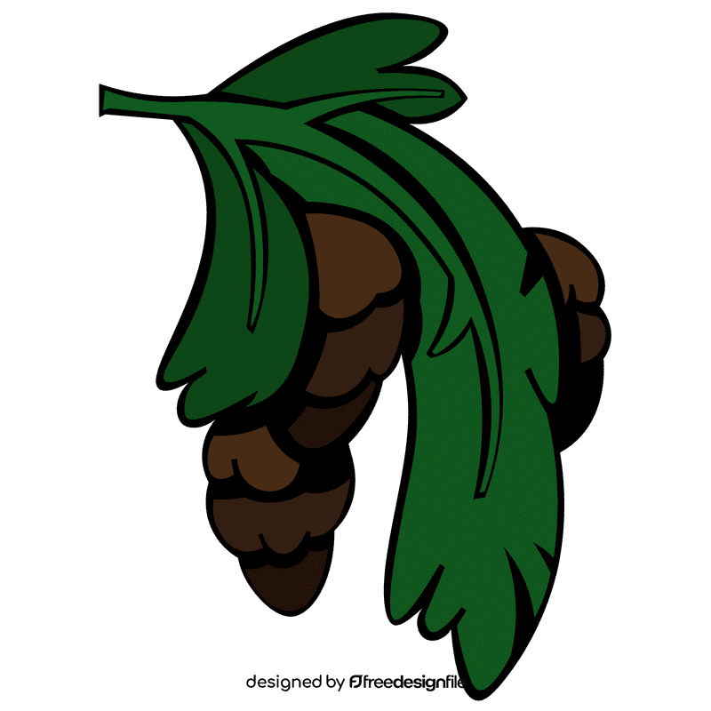 Evergreen branch clipart