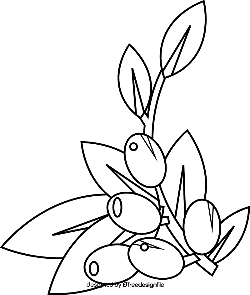 Olive branch olives black and white clipart